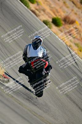 media/Oct-24-2025-2WTD (Fri) [[491f36c2bf]]/B Group/Session 3 (Turn 5)/